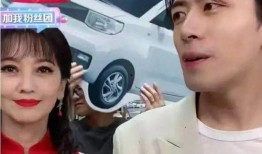 爆料董先生杨紫视频播放,网友热议