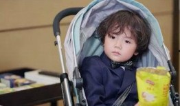 爆料老板萌照是谁啊视频,网络爆红“老板萌照”背后的神秘人物