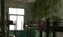 临沂东宿舍爆料事件视频,揭秘宿舍生活背后的真相