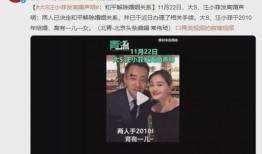 娱乐吃瓜汪小菲母亲视频,娱乐吃瓜背后的家庭故事
