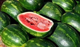 康乐网红吃瓜视频大全,盘点全网热门视频大全