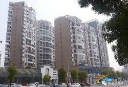 绿洲小区爆料最新消息视频,视频揭露惊人真相！