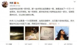 娱乐主播爆料文案怎么写,独家幕后故事大公开