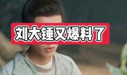 刘大锤爆料陈建斌视频,揭秘娱乐圈幕后真相