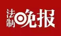 朝天新闻爆料,揭秘事件背后真相