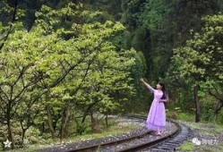 风景视频爆料大全最新,风景视频爆料大全精选集锦