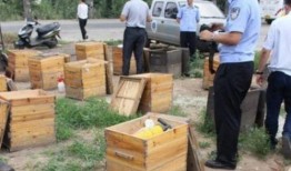 爆料地沟油新闻,食品安全危机背后的惊人真相