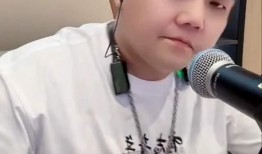 大瓜爆料小胖视频大全,小胖视频大全，揭秘网络红人幕后生活