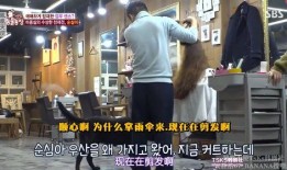 神奇的理发店在线观看,一场跨越时空的奇幻之旅