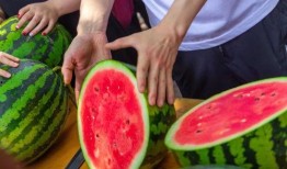 吃瓜免费,吃瓜群众免费畅享的娱乐盛宴