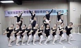 舞蹈老师视频爆料大全,揭秘舞蹈界幕后故事