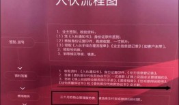 深圳国企爆料最新消息,揭秘重大改革动向与影响