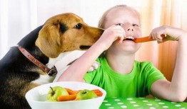 娱乐吃瓜菌狗狗视频,萌宠视频里的欢乐时光