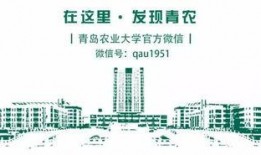 青岛雨后爆料视频大全,揭秘城市魅力瞬间