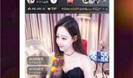 直播爆料丁海棠视频,丁海棠视频背后的惊人真相