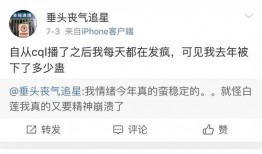 博君一肖免费吃瓜视频,揭秘明星幕后故事