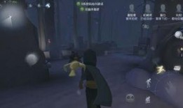 第五人格爆料解说视频,揭秘爆料解说视频中的惊悚细节与神秘角色