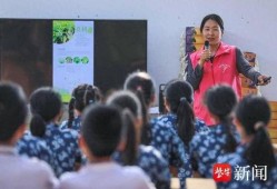 茶扎乡小学爆料新闻事件,揭开校园安全与教育监管的隐忧