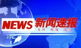 家庭新闻爆料素材视频,视频素材背后的惊人真相