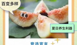 顶流吃瓜小说全文阅读免费,娱乐圈风云再起，揭秘明星背后的秘密