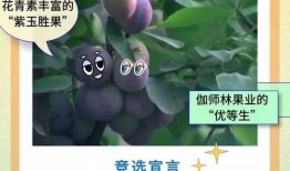 顶流吃瓜小说全文阅读免费,娱乐圈风云再起，揭秘明星背后的秘密