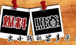 朝天新闻爆料,揭秘事件背后真相