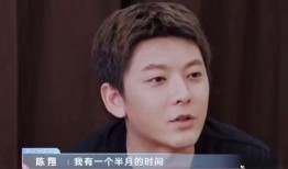 陈翔视频爆料,娱乐圈背后的惊人真相