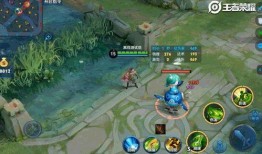 王者荣耀解剖最新爆料