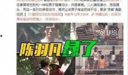今年卓伟爆料视频,娱乐圈风云再起