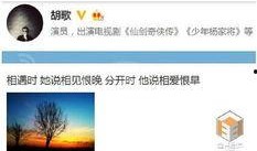 卓伟爆料胡歌绯闻视频,胡歌绯闻视频引发热议，真相究竟如何？