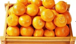 娱乐吃瓜橘子精,橘子精的吃瓜传奇