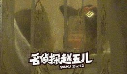 秦俊杰娱乐爆料视频,幕后真相大起底