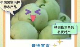 顶流吃瓜小说全文阅读免费,娱乐圈风云再起，揭秘明星背后的秘密
