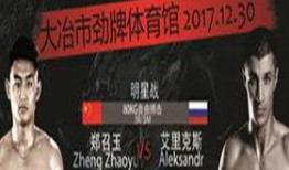 谁要爆料郑召玉的视频播放,神秘视频曝光，真相即将揭晓