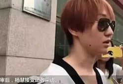 马蓉爆料洗白自己视频,揭秘背后不为人知的辛酸历程