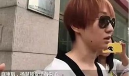 马蓉爆料洗白自己视频,揭秘背后不为人知的辛酸历程