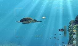 海洋深处手机在线观看,手机在线揭秘神秘海洋世界