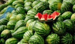 都哪些网红在吃瓜,盘点那些热衷于吃瓜的网红们