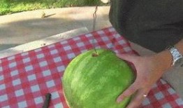 康乐网红吃瓜视频大全,盘点全网热门视频大全