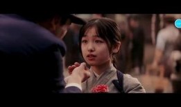 艺伎回忆录在线观看,穿越时光的华丽传奇