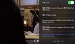 浪漫刺客手机在线观看,手机在线，激情重现