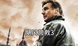 飓风营救3在线观看完整版,生死营救，极限挑战再升级！