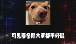 娱乐吃瓜免费观看,揭秘热门吃瓜瞬间