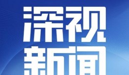 深圳高先生最新爆料新闻,揭秘事件背后惊人真相
