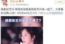 爆料董先生杨紫视频播放,网友热议
