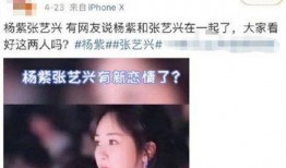 爆料董先生杨紫视频播放,网友热议