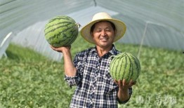 扎西枫丹娱乐吃瓜,揭秘娱乐圈最新吃瓜事件