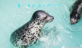 今日动物爆料,奇闻异事大爆料！