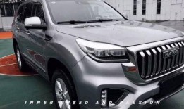新款h9最新爆料车,豪华升级，性能再攀高峰