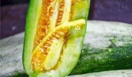 都哪些网红在吃瓜,盘点那些热衷于吃瓜的网红们